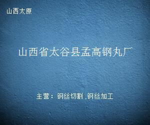 砥砺前行 山西省太谷县孟高钢丸厂的金属丝绳制造之路